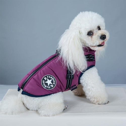 Winter Wonderland Pet Hooded Coat - Stylish And Warm Dog Jacket For