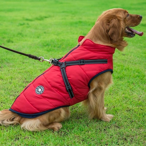 Winter Wonderland Pet Hooded Coat - Stylish And Warm Dog Jacket For