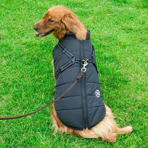 Winter Wonderland Pet Hooded Coat - Stylish And Warm Dog Jacket For