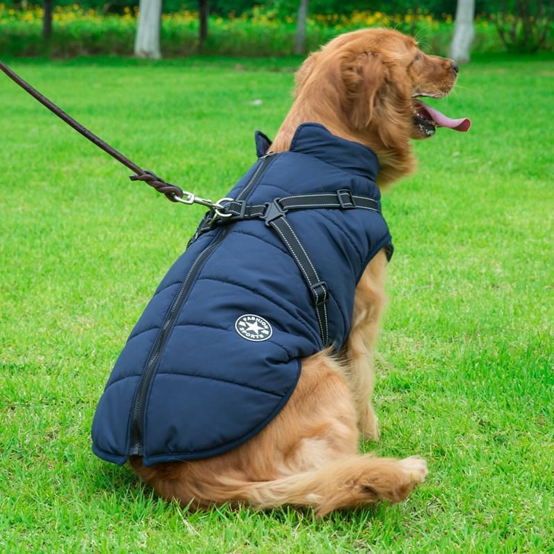 Winter Wonderland Pet Hooded Coat - Stylish And Warm Dog Jacket For