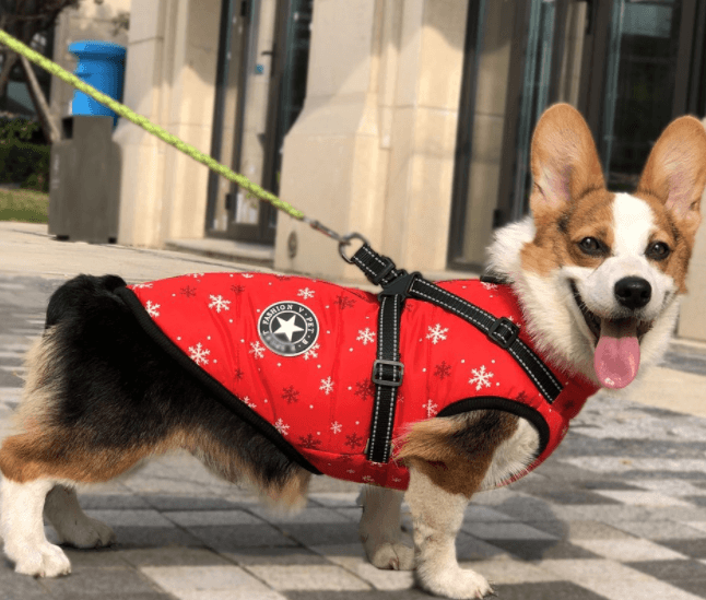 Winter Wonderland Pet Hooded Coat - Stylish And Warm Dog Jacket For
