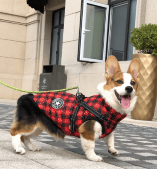 Winter Wonderland Pet Hooded Coat - Stylish And Warm Dog Jacket For