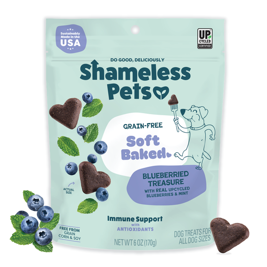 Blueberried Treasure Soft Baked Dog Treats