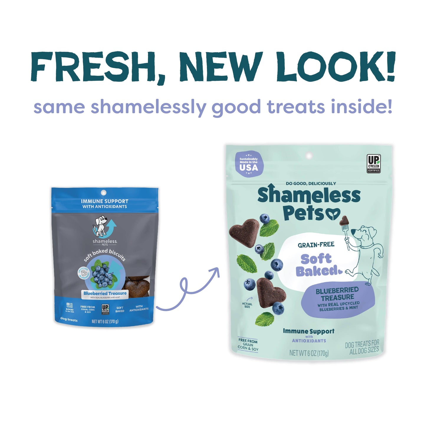 Blueberried Treasure Soft Baked Dog Treats