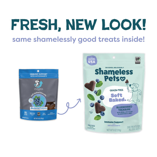 Blueberried Treasure Soft Baked Dog Treats